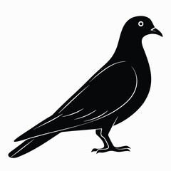 Simple Pigeon Silhouette Image