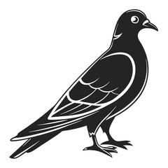 Pigeon Silhouette Icon Set