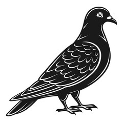 Black Pigeon Outline for Designs