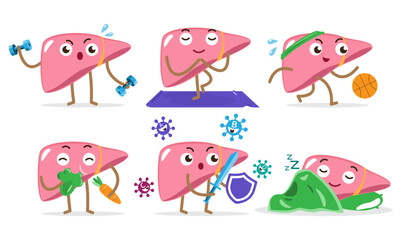Healthy liver . Set of cute medical cartoon characters . Isolated white background . Vector .