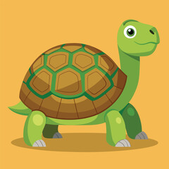 tortoise vector