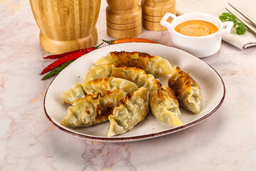 Japanese fried Gyoza stuffed dumplings