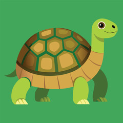 tortoise vector