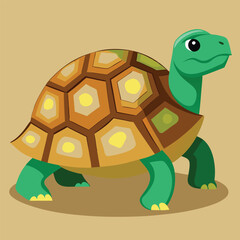 tortoise vector