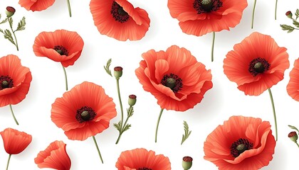 Obraz premium Vivid Poppy Pattern on White Background