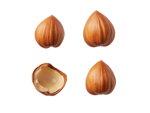 Falling Hazelnut isolated on white background, selective focus