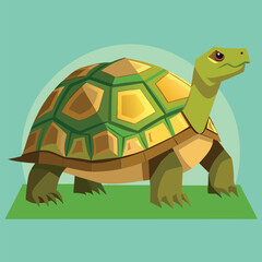tortoise vector