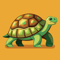 tortoise vector