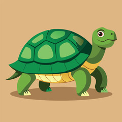 tortoise vector
