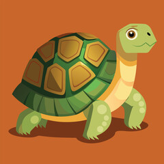 tortoise vector