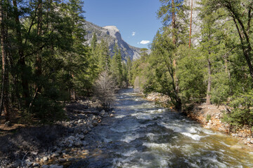 Merced River in Yosemite Valley National Park, California, USA. 
