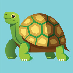 tortoise vector