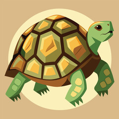 tortoise vector