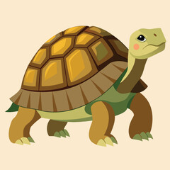 tortoise vector
