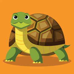 tortoise vector