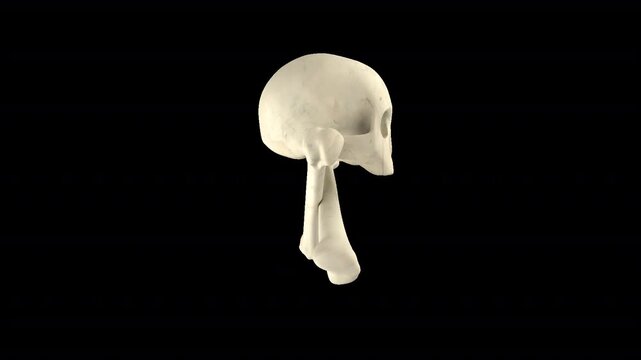 Skull Crossbone Pirate sprite element loop with alpha. This sprite with an alpha channel is loopable.