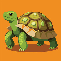 tortoise vector