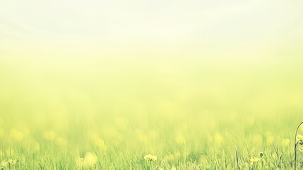 Soft Focus Yellow Flowers Meadow in Pastel Light