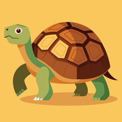 tortoise vector
