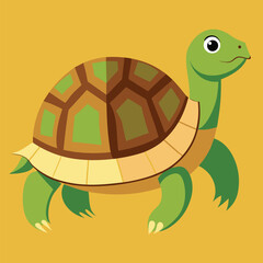 tortoise vector
