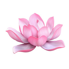 Fototapeta premium Pink Lotus Flower Delicate Petals Soft Bloom,