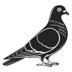 Pouter Pigeon Stencil Artwork