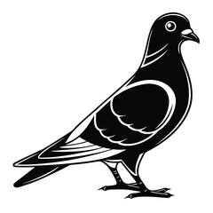 Pouter Pigeon Logo in Black