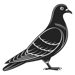 Minimalist Pouter Pigeon Design