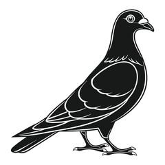 Pouter Pigeon Black Outline Vector