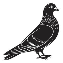 Elegant Pouter Pigeon Silhouette