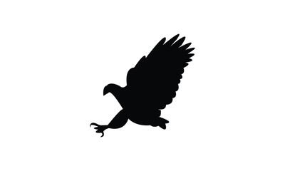 Flying African fish eagle bird Silhouette Design  And Vector Illustration. 