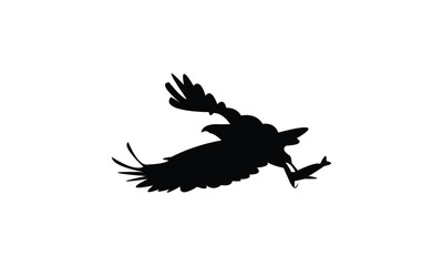 Flying African fish eagle bird Silhouette Design  And Vector Illustration. 