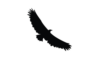 Flying African fish eagle bird Silhouette Design  And Vector Illustration. 
