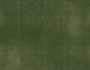 green grass texture