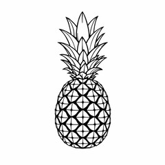Obraz premium Black and White Pineapple Illustration with Geometric Pattern and Intricate Details in Retro Style Minimalist Botanical Sketch