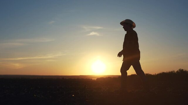 Agriculture. Silhouette of a farmer walking in the field. Landscape fresh harvest concept. Farmer walks through the soils. Silhouette of farmer walking through lifestyle the field in soild soil.