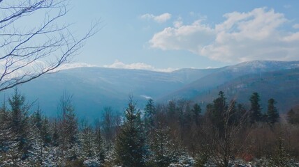 Vibrant early spring in the Beskid Mountains, with warm sunlight illuminating trees, creating a serene and peaceful forest landscape, view on mountains