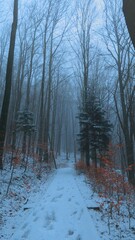 Naklejka premium Serene winter landscape with misty bare trees, and a tranquil forest, evoking a sense of mystery and peace, perfect for themes of nature, solitude, and atmospheric beauty