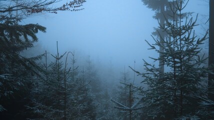 Serene winter landscape with misty bare trees, and a tranquil forest, evoking a sense of mystery and peace, perfect for themes of nature, solitude, and atmospheric beauty
