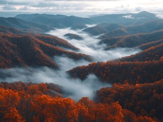 Autumn Foggy Mountain Valley