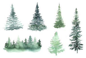 Watercolor green forest evergreen trees, fir, pine clipart set