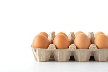 eggs on white background