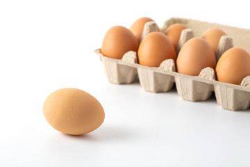 eggs on white background
