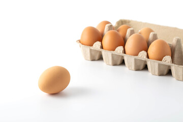 eggs on white background
