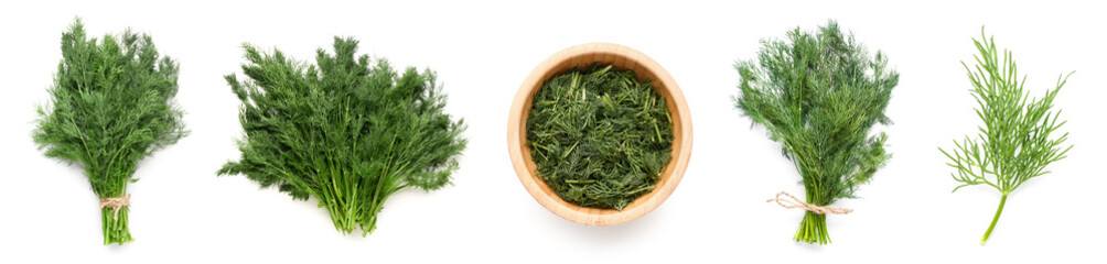 Set of fresh dill on white background, top view