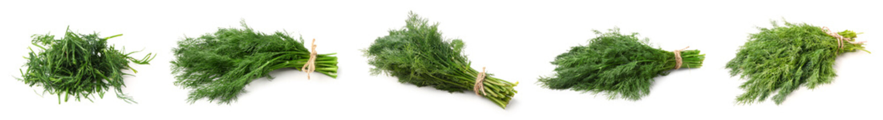 Set of fresh dill on white background