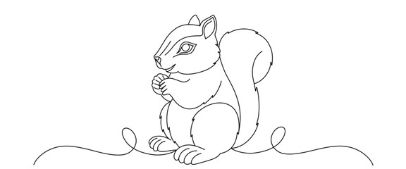 squirrel vector illustration, line art style. design elements
