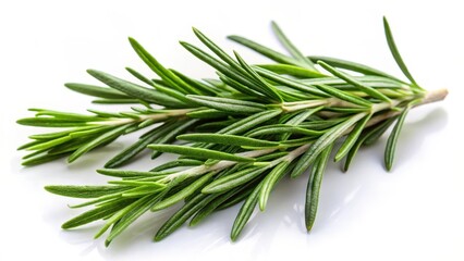 Fototapeta premium Fresh rosemary leaves isolated on a white background with a soft focus effect to emphasize the intricate details of the herb , Nature, Botany