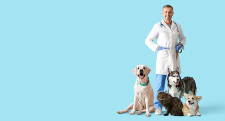 Male veterinarian and cute animals on light blue background with space for text