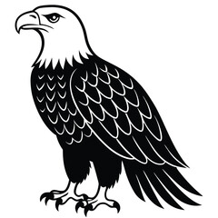 American bald eagle Vactor
